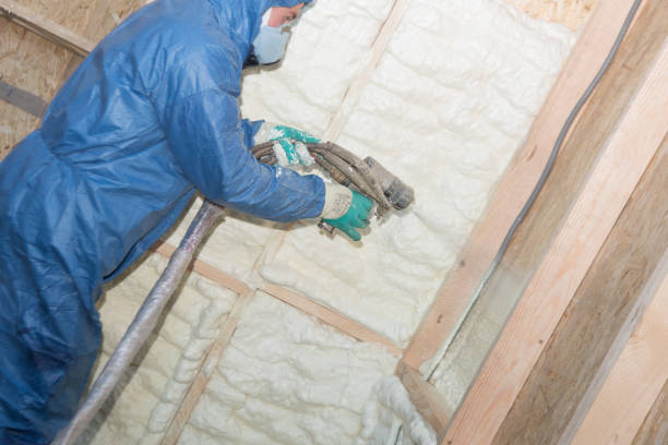 Best Crawl Space Insulation  in Boyd, TX